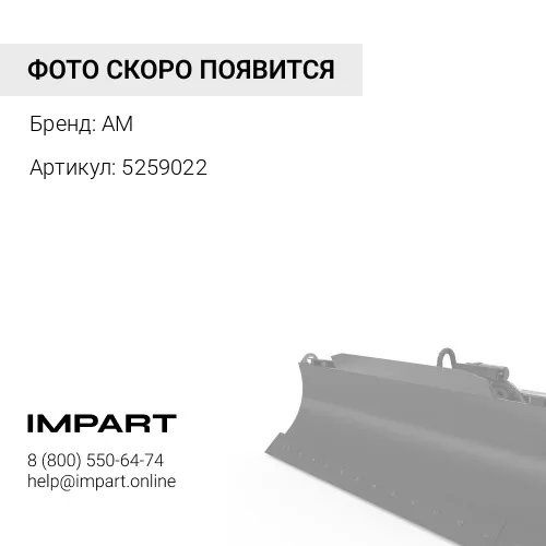 5259022 Натяжитель ремня