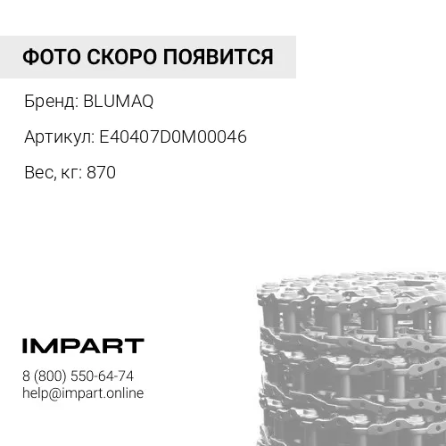 E40407D0M00046 Цепь в сборе