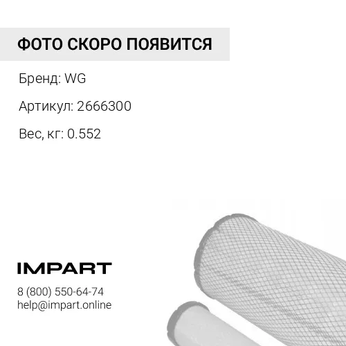 2666300 Подушка двигателя WG