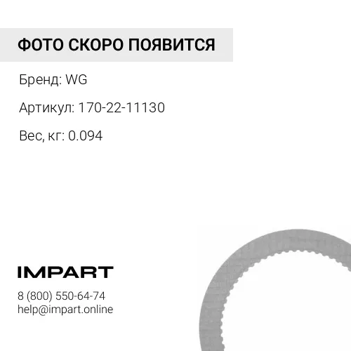 170-22-11130 Кольцо уплотнительное WG