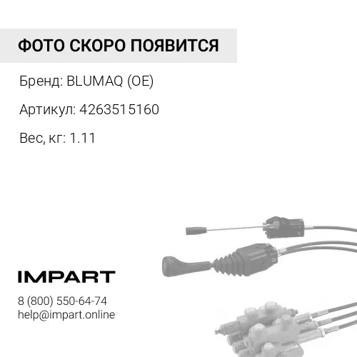 РЕЛЕ 4263515160 BLUMAQ (OE)