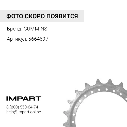 5664697 Звездочка распределительного вала Cummins ISF 2,8 100% оригинал CUMMINS