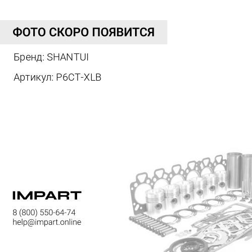 P6CT-XLB Ремкомплект двигателя C6121 C6121-rk SHANTUI