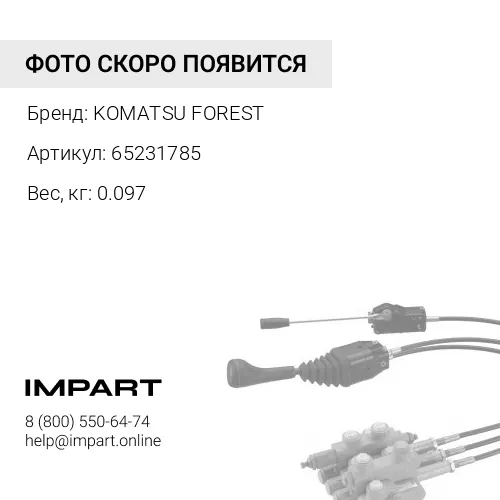 65231785 ПЕРЕКЛЮЧАТЕЛЬ