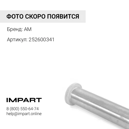 252600341 Палец 60188/252600341/9327912/9358273 XCMG AM