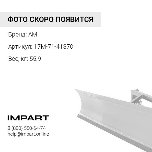 17M-71-41370 цапфа AM