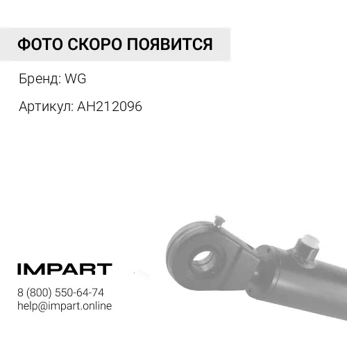 AH212096 Ремонтный комплект гидроцилиндра AH212096/JHOAH212096 /AHC19979 WG WG