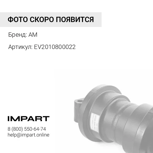 EV2010800022 Опорный каток W200
