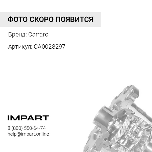 CA0028297 Иголки подшипника Carraro