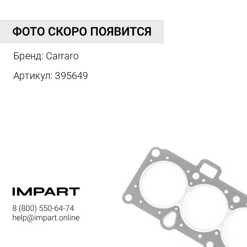 395649 КольцоуплотнительноеCarraro395649 Carraro