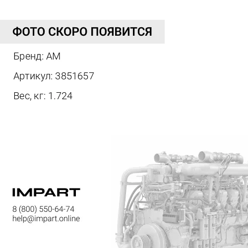 3851657 Поршень