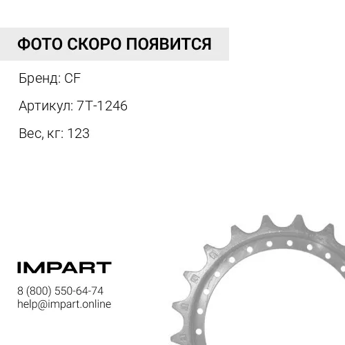 7T-1246-CF НАБОР СЕГМЕНТОВ (5ШТ х 7T1246) Z = 25