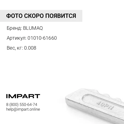 01010-61660 Болт BLUMAQ