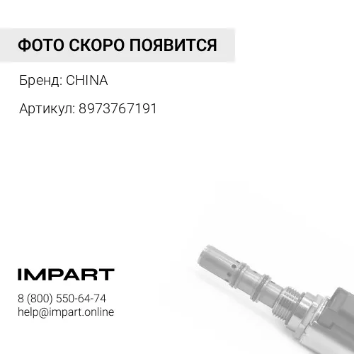 8973767191 Направляющая клапана 6HK1/4HK1 8973767191 CHINA