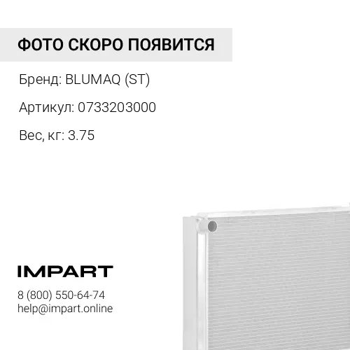 0733203000 СВЯЗЬ BLUMAQ (ST)