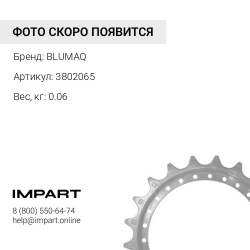3802065 СЕГМЕНТ BLUMAQ