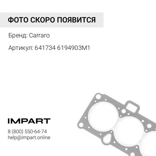 641734 Сальник Carraro