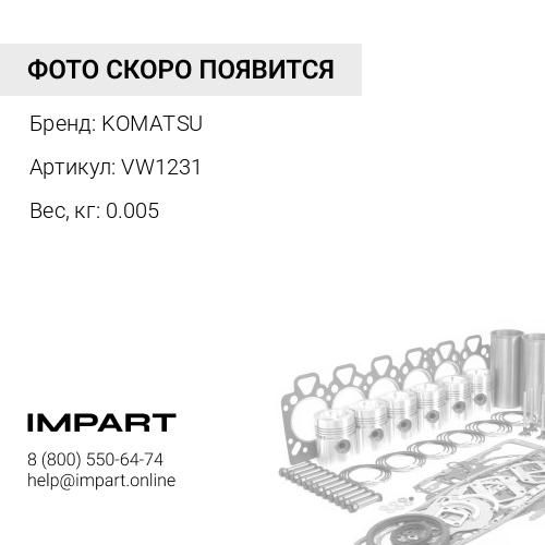 VW1231 ПРОКЛАДКА
