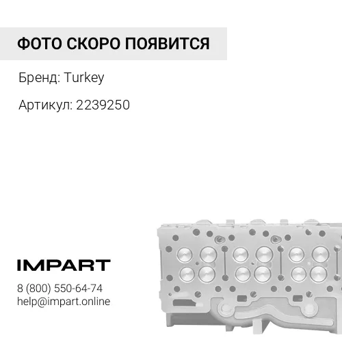 2239250 Головка блока Turkey