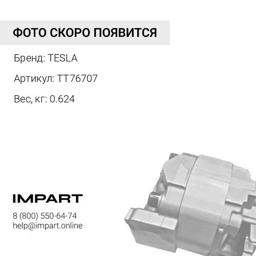 TT76707 Электромагнит TESLA 