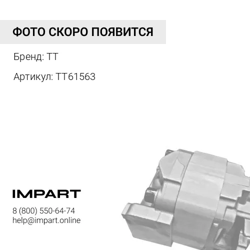 TT61563 Бендикс 231804