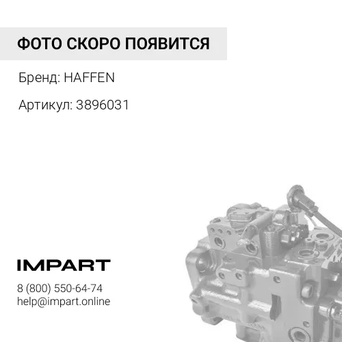 3896031 Поршень в сборе QSM ISM M11 4025161