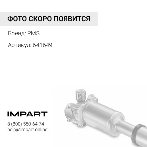 641649 641649 Приводной вал в сборе PMS