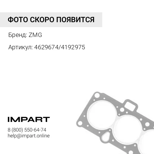 4629674/4192975 Уплотнение ZMG