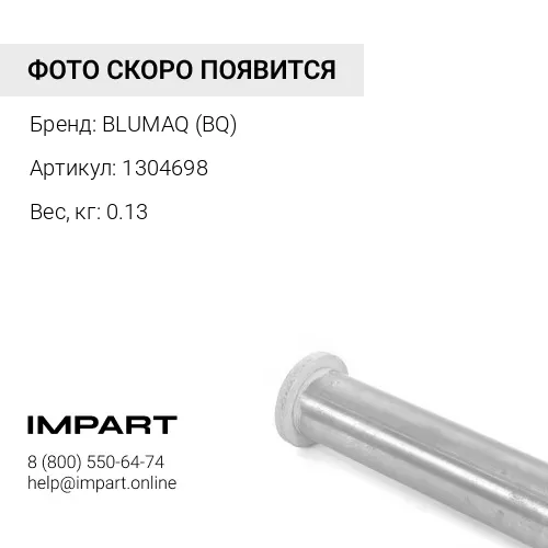 1304698 ВТУЛКА BLUMAQ (BQ)
