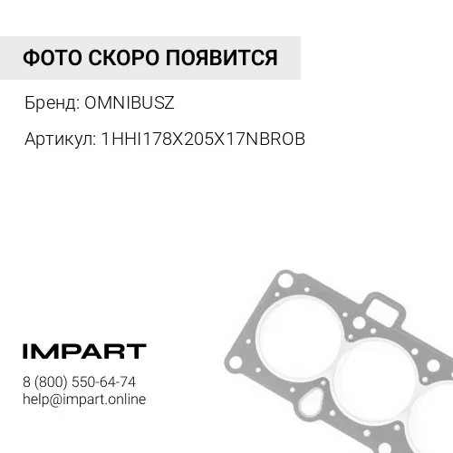 1HHI178X205X17NBROB Сальники 178х205х17 ступицы 619637 Raba