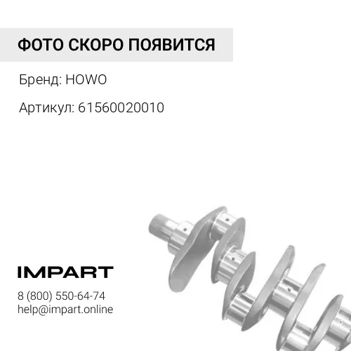 61560020010 Демпфер коленвала WD615 WP10 HOWO VG1540020003 HOWO