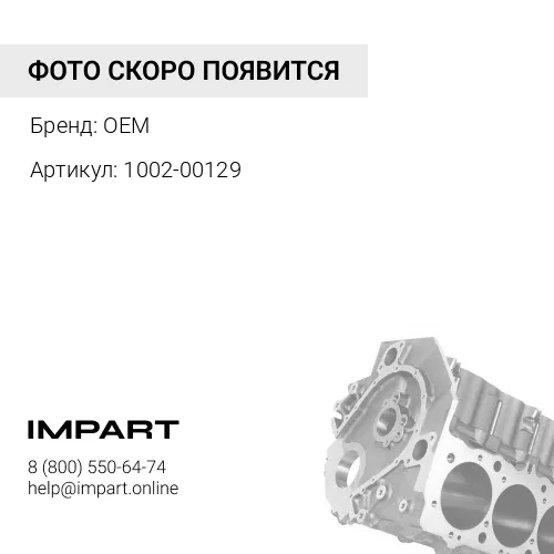 1002-00129 Блок цилиндров OEM