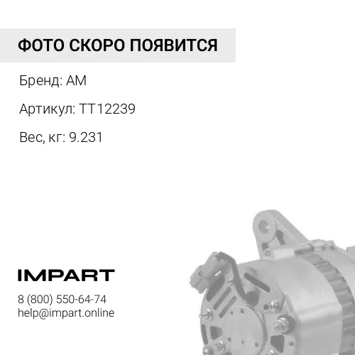 TT12239 Генератор