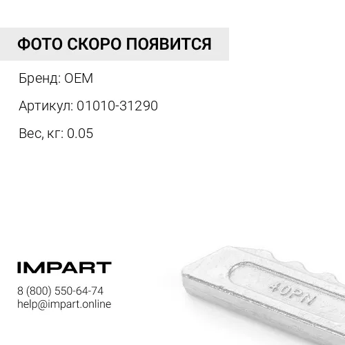 01010-31290 Болт