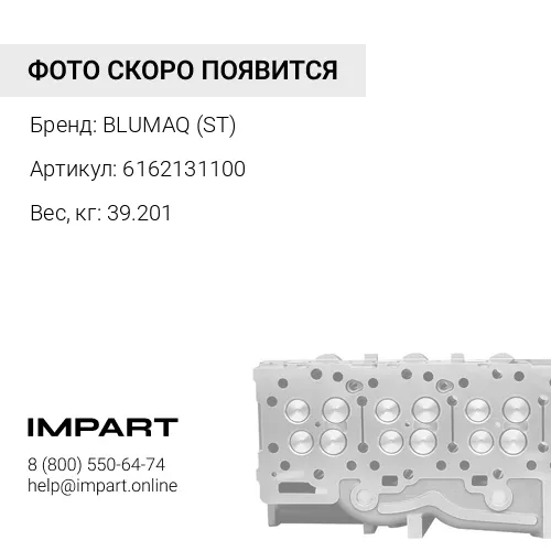 6162131100 ЦИЛ. ГОЛОВКА В СБОРЕ