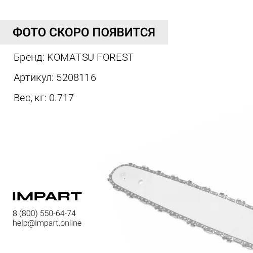 5208116 ЦЕПЬ
