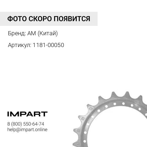 1181-00050 Звездочка Z21/H22 26950009221 E300