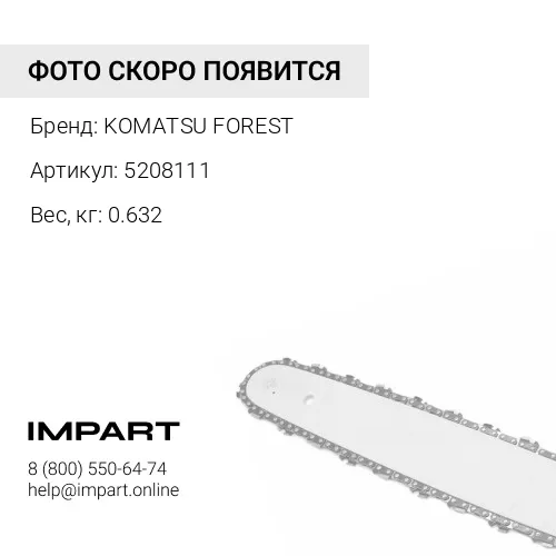 5208111 ЦЕПЬ
