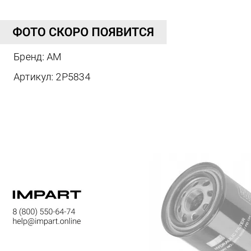 2P5834 Фильтр