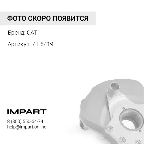 7T-5419 ПОДУШКА CAT