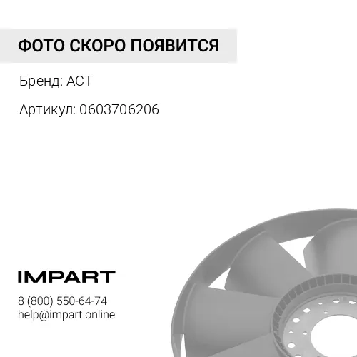 0603706206 Подшипник ACT 06037-06206 ACT