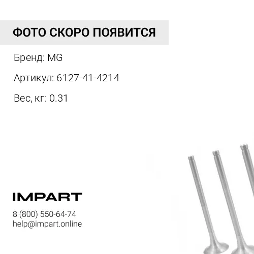 6127-41-4214 Клапан выпускной MG 6127-41-4214 MG
