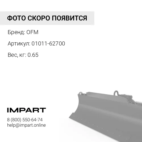 01011-62700 Болт OFM