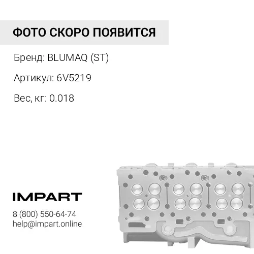 6V5219 ST ВИНТ С ШЕСТИГРАННОЙ ГОЛОВКОЙ