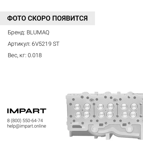 6V5219 ST ВИНТ С ШЕСТИГРАННОЙ ГОЛОВКОЙ