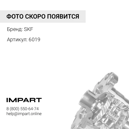 6019 Подшипник 2RS1