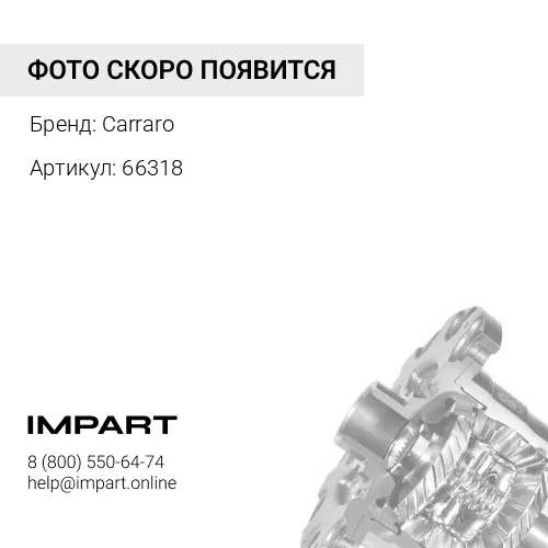 66318 Кит набор дифференциала Carraro