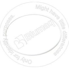 1249602170 ST УПЛОТНИТЕЛЬНОЕ КОЛЬЦО BLUMAQ