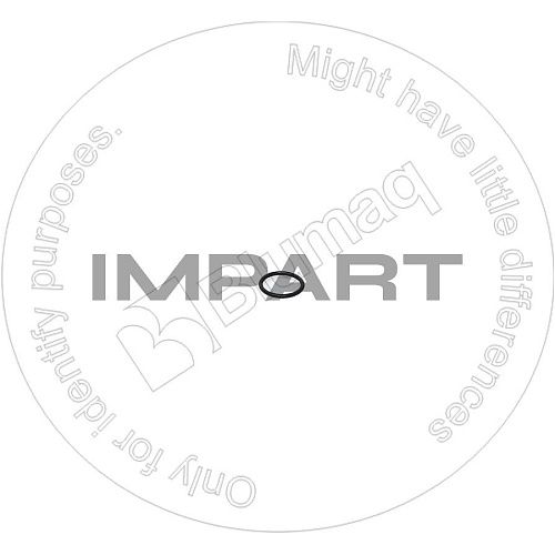07002-13334 О-кольцо