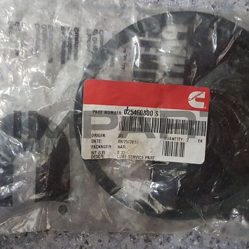 254608 Уплотнение сапуна